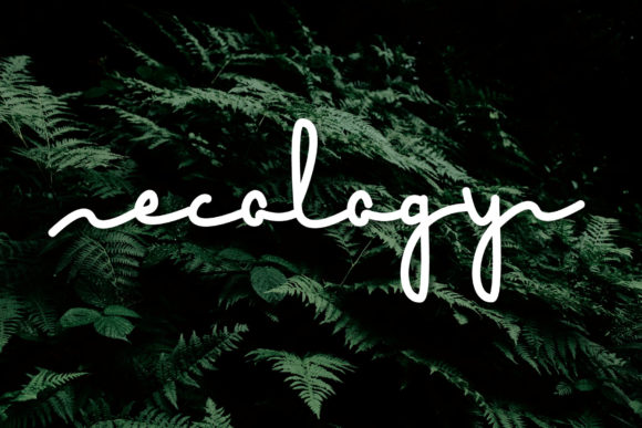 Ecology Font: Elevate Your Small Business Branding