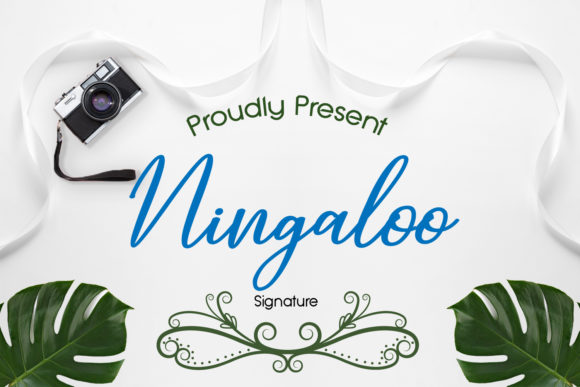 Ningaloo Font for Elegant Web Design