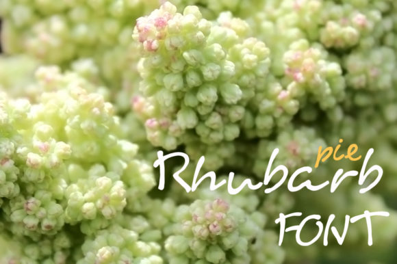 Rhubarb Pie Font: A Whimsical Handwritten Typeface for Makers
